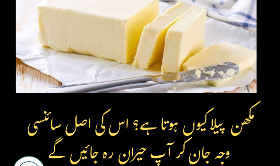 کیا آپ جانتے ہیں کہ مکھن کی رنگت پیلی کیوں ہوتی ہے؟